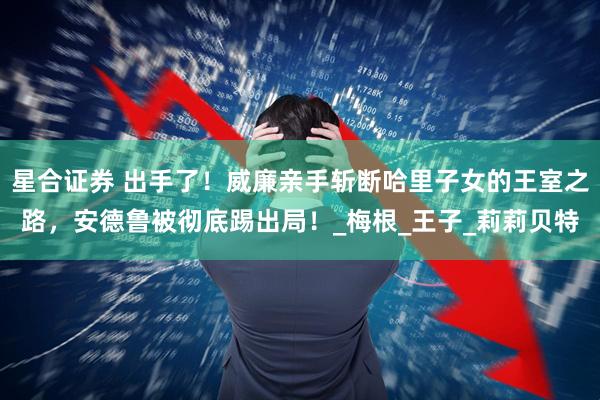 星合证券 出手了！威廉亲手斩断哈里子女的王室之路，安德鲁被彻底踢出局！_梅根_王子_莉莉贝特
